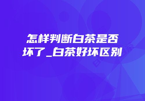 怎样判断白茶是否坏了_白茶好坏区别