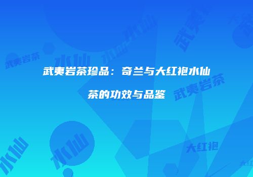 武夷岩茶珍品：奇兰与大红袍水仙茶的功效与品鉴