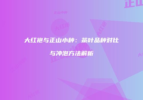 大红袍与正山小种：茶叶品种对比与冲泡方法解析