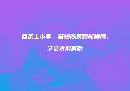 春茶上市季，警惕陈茶翻新骗局，学会辨别真伪