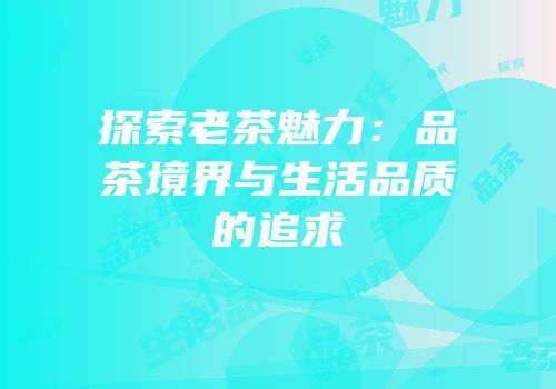 探索老茶魅力：品茶境界与生活品质的追求