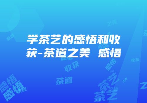 学茶艺的感悟和收获-茶道之美 感悟