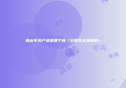 黄山毛尖产地是哪个省「安徽毛尖是哪的」