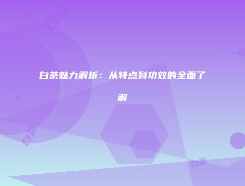 白茶魅力解析：从特点到功效的全面了解