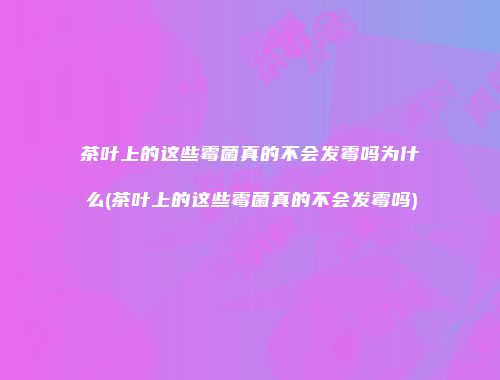 茶叶上的这些霉菌真的不会发霉吗为什么(茶叶上的这些霉菌真的不会发霉吗)