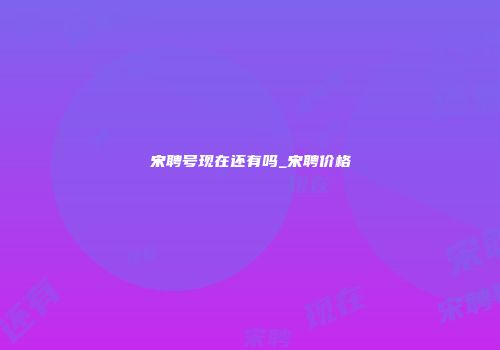 宋聘号现在还有吗_宋聘价格