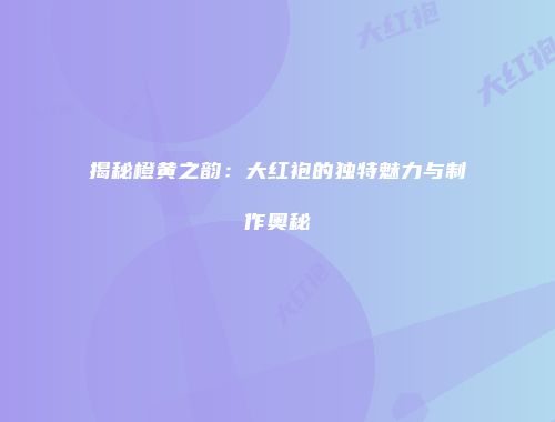 揭秘橙黄之韵：大红袍的独特魅力与制作奥秘