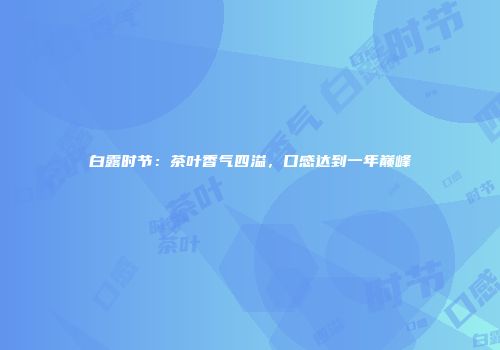 白露时节：茶叶香气四溢，口感达到一年巅峰