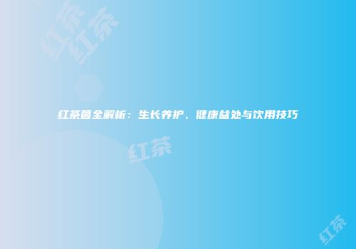 红茶菌全解析：生长养护、健康益处与饮用技巧