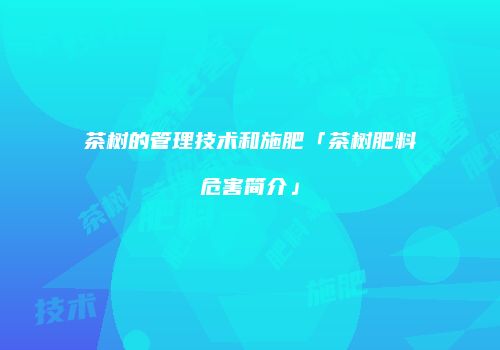 茶树的管理技术和施肥「茶树肥料危害简介」