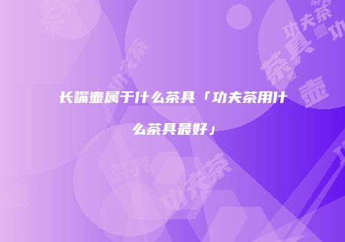 长嘴壶属于什么茶具「功夫茶用什么茶具最好」