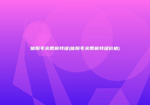 信阳毛尖雨前特级(信阳毛尖雨前特级价格)