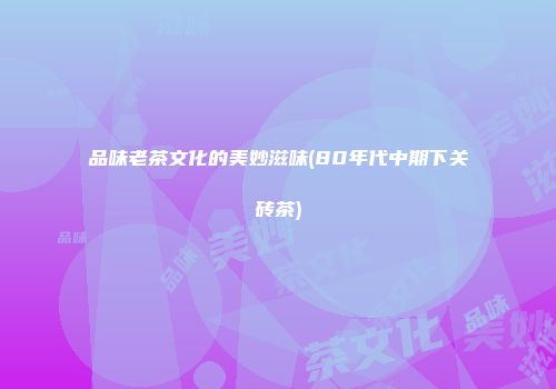 品味老茶文化的美妙滋味(80年代中期下关砖茶)