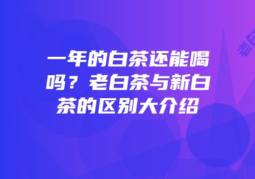 一年的白茶还能喝吗？老白茶与新白茶的区别大介绍