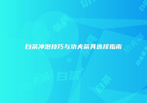 白茶冲泡技巧与功夫茶具选择指南