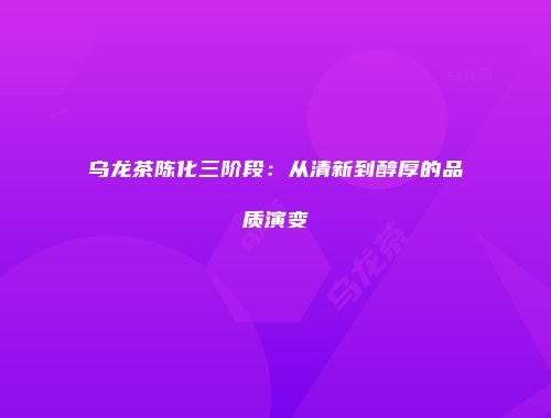 乌龙茶陈化三阶段：从清新到醇厚的品质演变