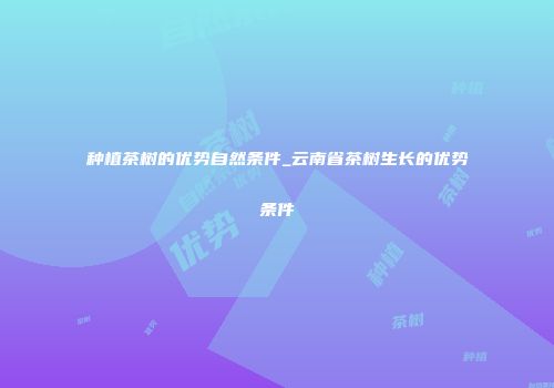 种植茶树的优势自然条件_云南省茶树生长的优势条件