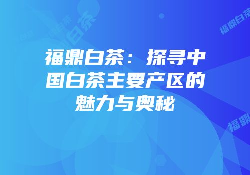 福鼎白茶：探寻中国白茶主要产区的魅力与奥秘