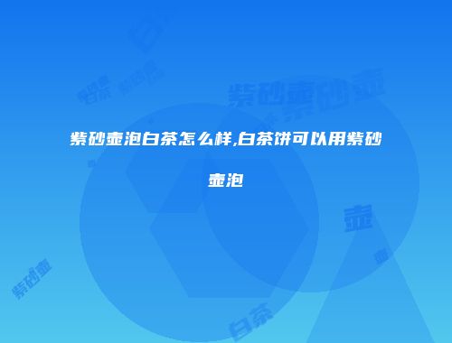 紫砂壶泡白茶怎么样,白茶饼可以用紫砂壶泡