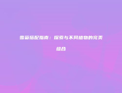 雪菊搭配指南：探索与不同植物的完美组合