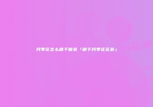 月季花怎么晒干做茶「晒干月季花花茶」