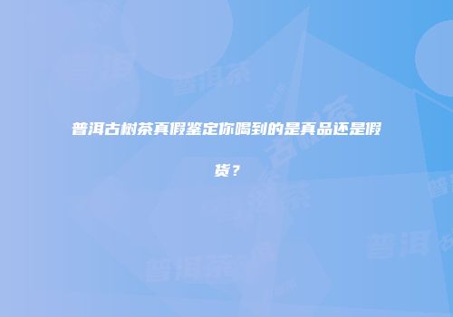 普洱古树茶真假鉴定你喝到的是真品还是假货？