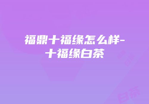 福鼎十福缘怎么样-十福缘白茶