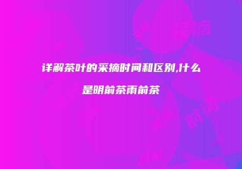 详解茶叶的采摘时间和区别,什么是明前茶雨前茶
