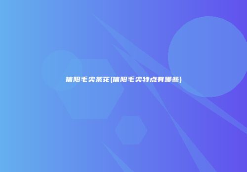信阳毛尖茶花(信阳毛尖特点有哪些)