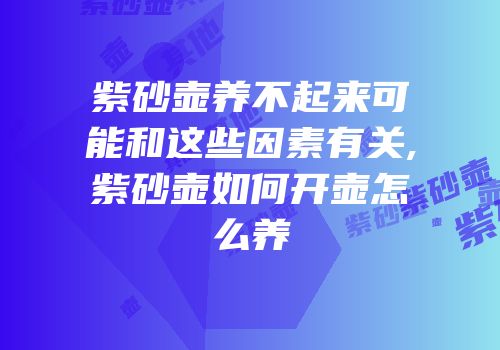 紫砂壶养不起来可能和这些因素有关,紫砂壶如何开壶怎么养