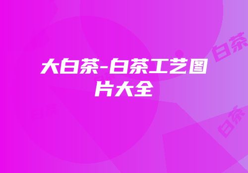 大白茶-白茶工艺图片大全