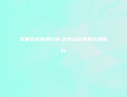 武夷岩茶有哪几种,武夷山岩茶黄玫瑰图片