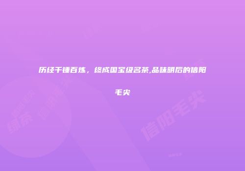 历经千锤百炼，终成国宝级名茶,品味明后的信阳毛尖