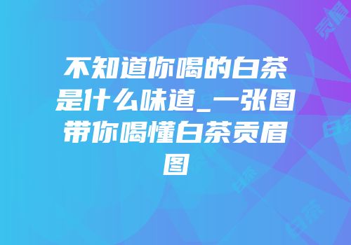 不知道你喝的白茶是什么味道_一张图带你喝懂白茶贡眉图