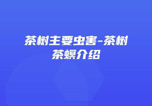 茶树主要虫害-茶树茶螟介绍