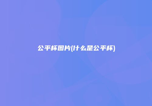 公平杯图片(什么是公平杯)