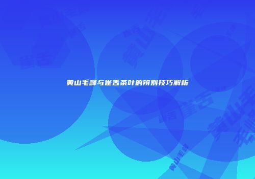 黄山毛峰与雀舌茶叶的辨别技巧解析