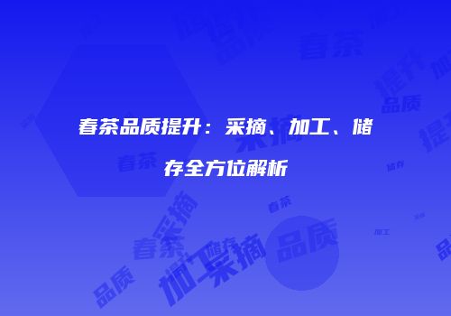 春茶品质提升：采摘、加工、储存全方位解析
