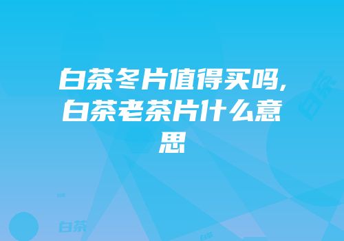 白茶冬片值得买吗,白茶老茶片什么意思