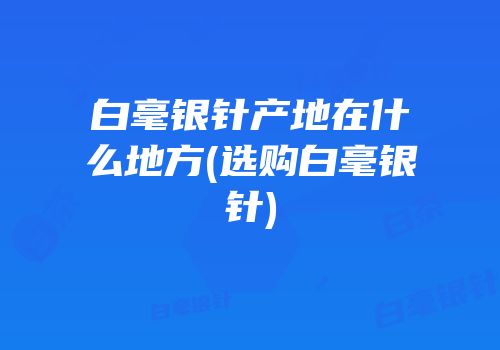 白毫银针产地在什么地方(选购白毫银针)