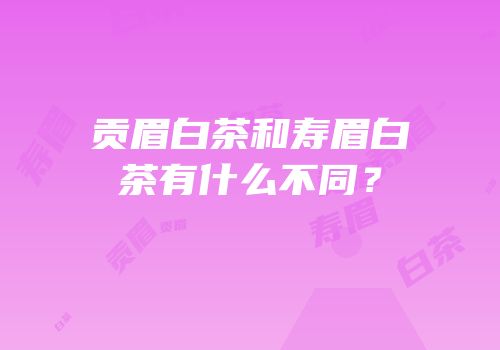 贡眉白茶和寿眉白茶有什么不同？