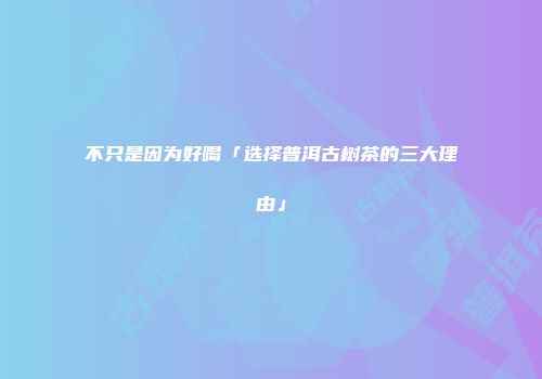 不只是因为好喝「选择普洱古树茶的三大理由」