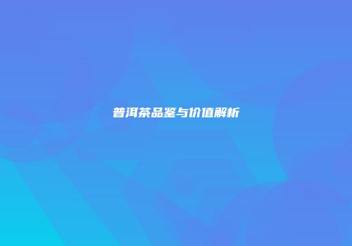 普洱茶品鉴与价值解析