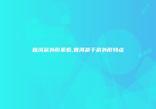 普洱茶外形条索,普洱茶干茶外形特点