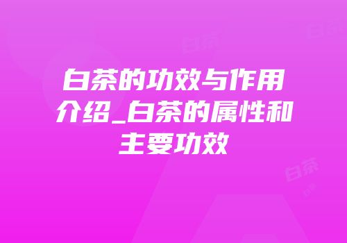 白茶的功效与作用介绍_白茶的属性和主要功效