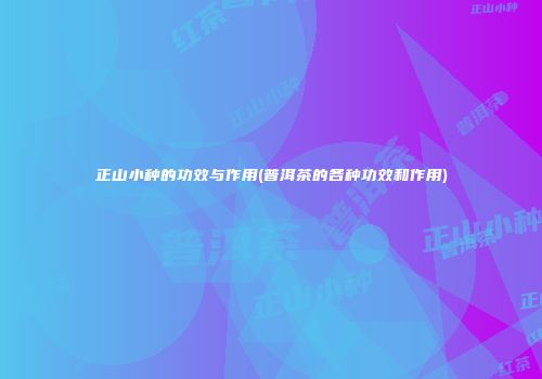 正山小种的功效与作用(普洱茶的各种功效和作用)