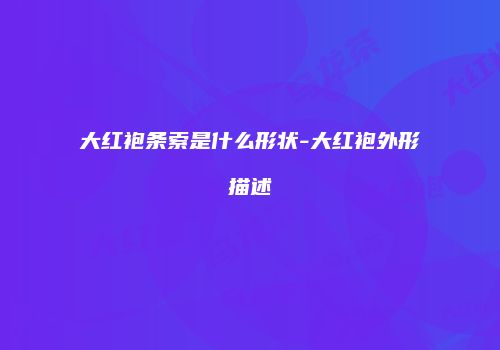 大红袍条索是什么形状-大红袍外形描述