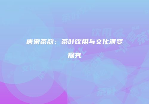 唐宋茶韵：茶叶饮用与文化演变探究