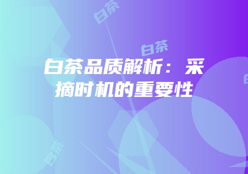 白茶品质解析：采摘时机的重要性