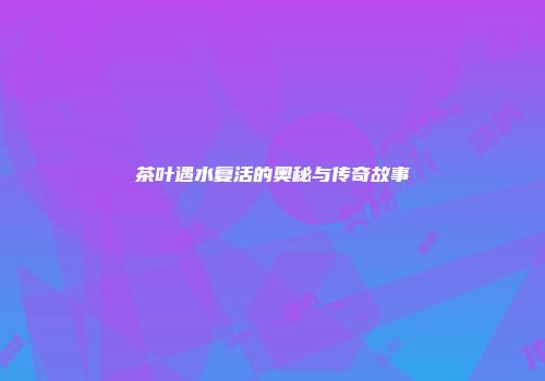 茶叶遇水复活的奥秘与传奇故事